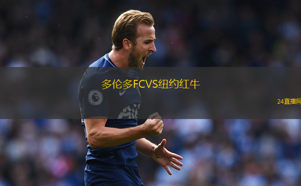 多倫多FCVS紐約紅牛