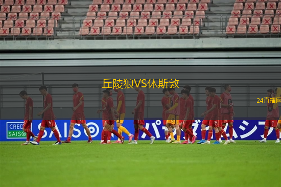 丘陵狼VS休斯敦