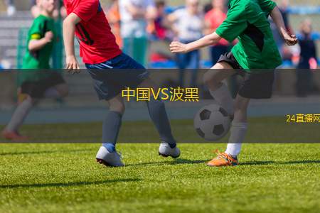 中國VS波黑
