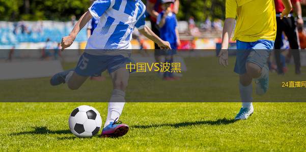 中國VS波黑