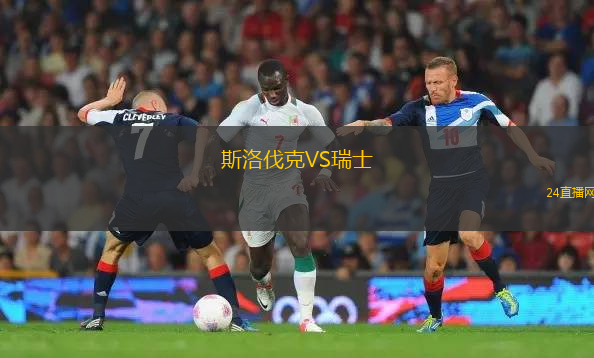 斯洛伐克VS瑞士