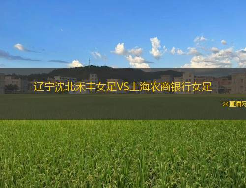 遼寧沈北禾豐女足VS上海農(nóng)商銀行女足