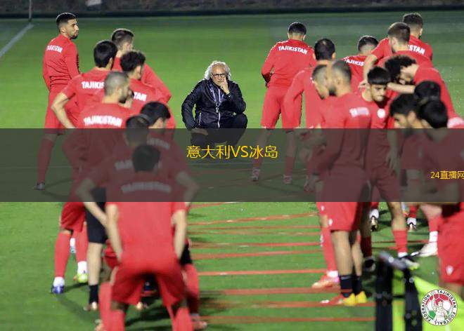 意大利VS冰島
