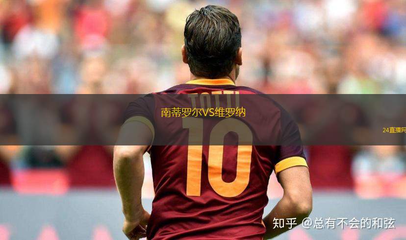 南蒂羅爾VS維羅納