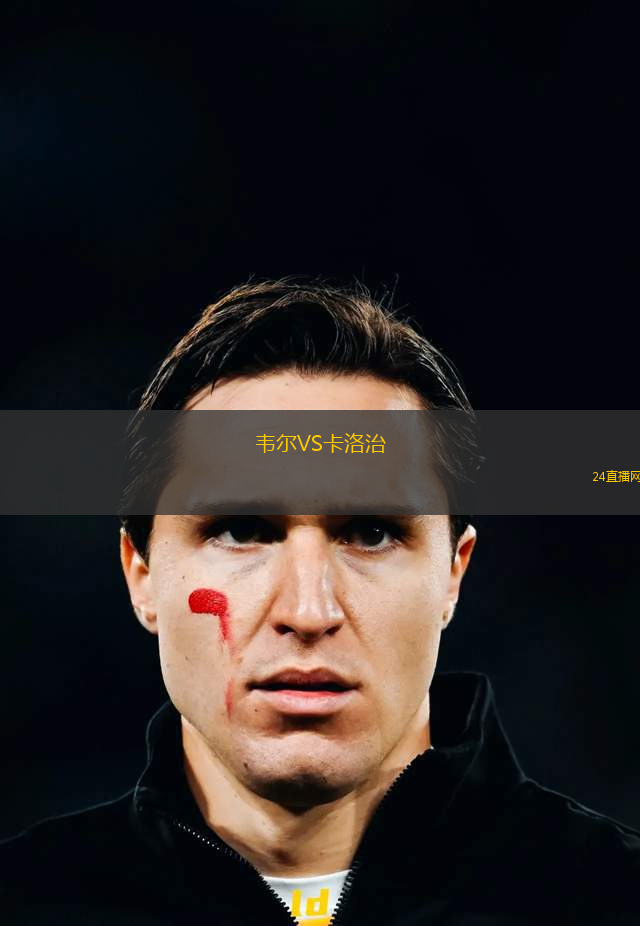 韋爾VS卡洛治