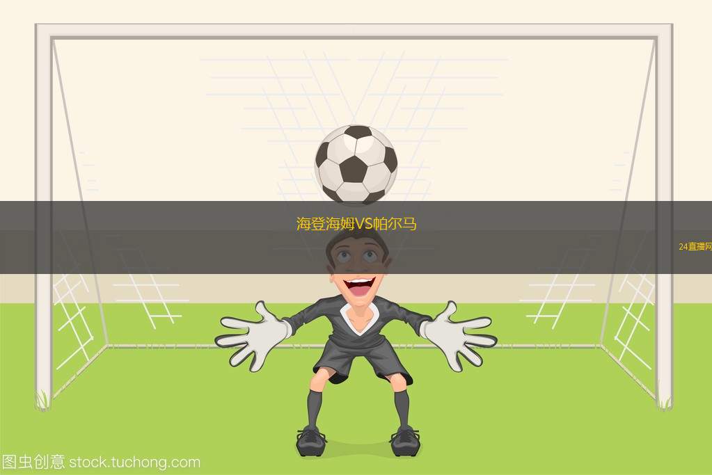 海登海姆VS帕爾馬