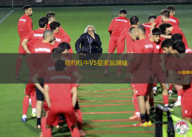 紐約紅牛VS皇家鹽湖城