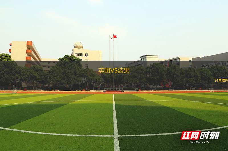 英國VS波黑