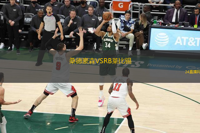 桑德豪森VSRB萊比錫