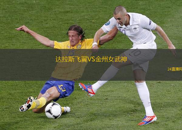 達拉斯飛翼VS金州女武神
