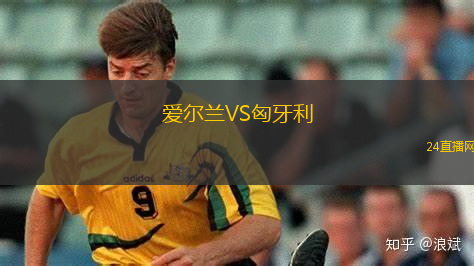 愛爾蘭VS匈牙利