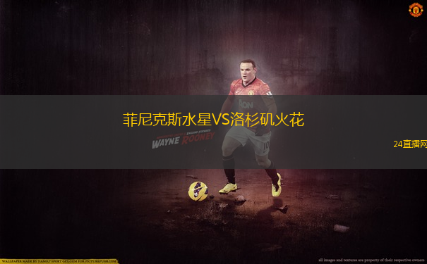 菲尼克斯水星VS洛杉磯火花