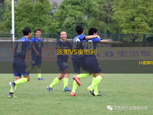 波黑VS奧地利