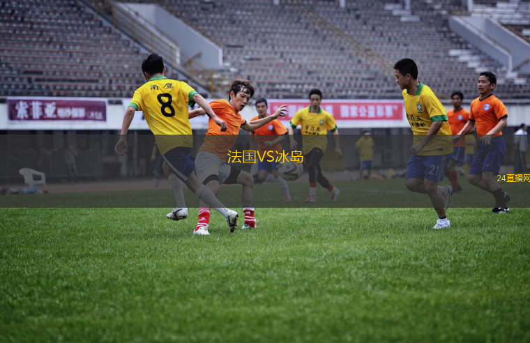 法國VS冰島