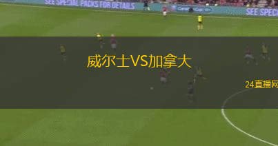 威爾士VS加拿大