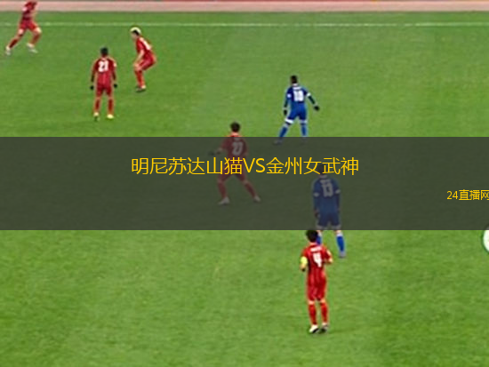 明尼蘇達山貓VS金州女武神