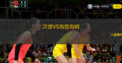 漢堡VS海登海姆