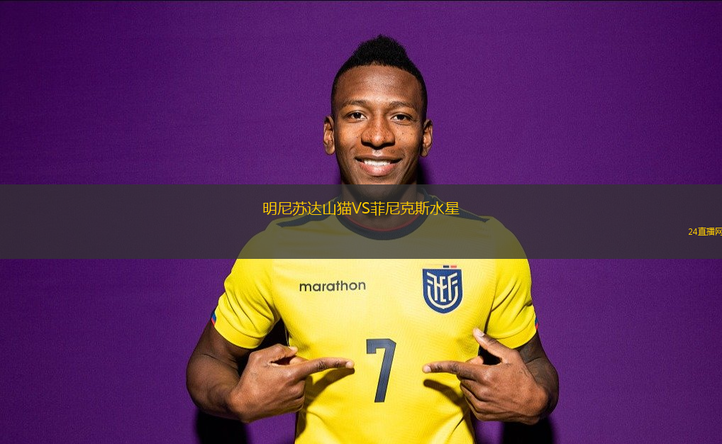 明尼蘇達山貓VS菲尼克斯水星